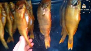 Как вкусно коптить окуня? Рыба горячим способом копчения.