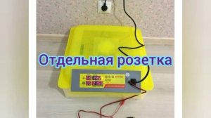 Какой купить инкубатор? Инкубатор пользование