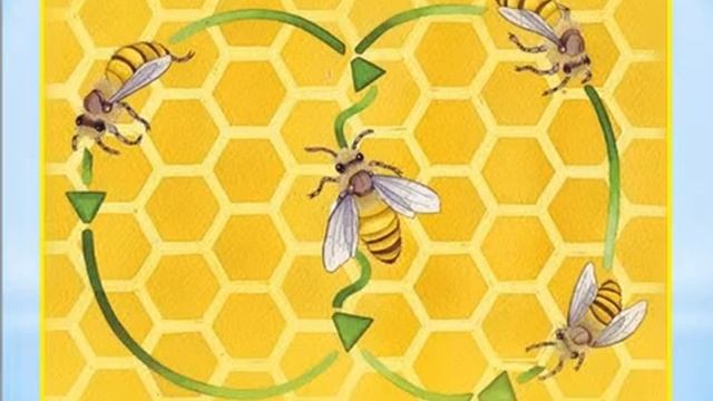 Мухаметшина К И Путешествие в мир насекомых смотреть онлайн