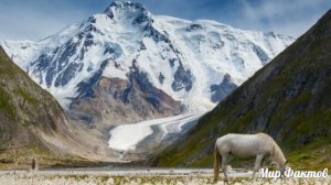 Чем отличаются Кыргызы от Казахов?