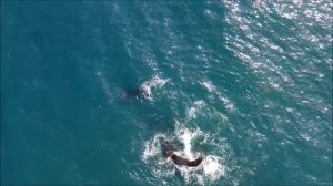 Самая красивая мелодия на свете Для Души! Послушайте! Волшебная флейта! Релакс