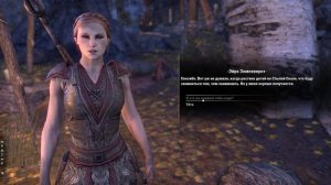 Elder Scrolls Online - Решение проблем