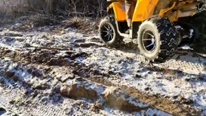 Обзор WILD TRACK 200 X PRO 2024