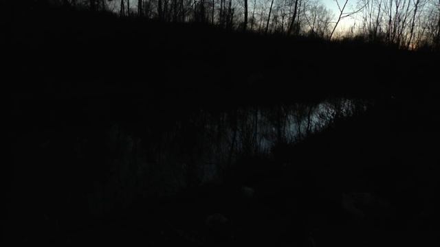 ОСЕННЯЯ ОХОТА НА БОБРА С РУЖЬЕМ... смотреть онлайн