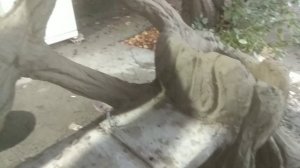 Лавочка из Арт-бетона в сказочном стиле