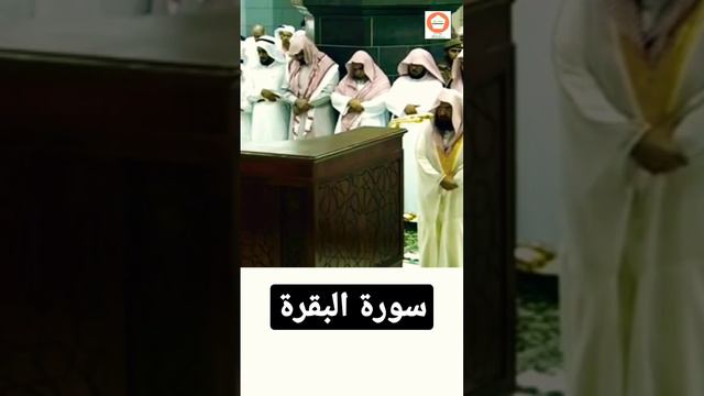 Surah Al Baqarah (154 - 156) ।। Beautiful recitation ।। By Sheikh Abdul Rahman Al Sudais