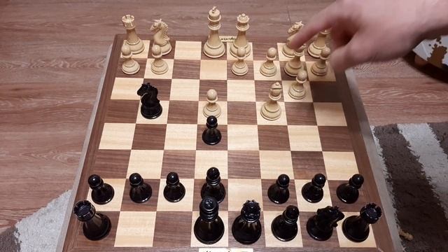 Шахматы. Великая ловушка на ферзя. Выучите правильные ходы. Обхитрить шахматиста. смотреть онлайн