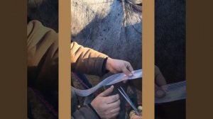 GPS трекер орнату. Устанавление GPS трекера для скота