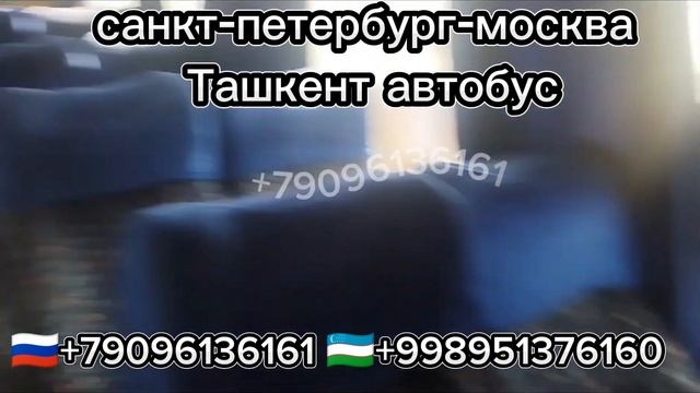 Москва Ташкент автобус