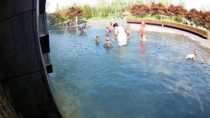 Краснодар, купаются в фонтане