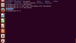Как создать зашифрованный файловый контейнер в Linux (Ubuntu)