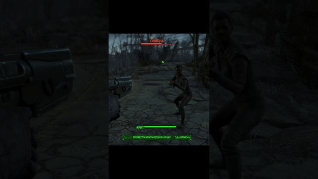 Fallout 4 - Полетел