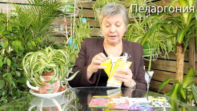 Цветы на рассаду в январе семенами 🌱 выбираем сорта цветов