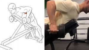 КАК НАКАЧАТЬ ШИРОКУЮ СПИНУ