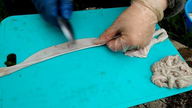 Самый простой способ чистки кишек для приготовления колбасы смотреть онлайн