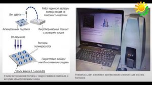 Биоинженерия и биоинформатика