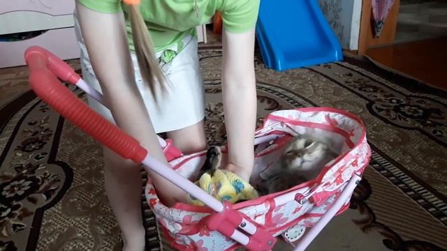 КОТИК БУБУ / ПРОГУЛКА / СОН смотреть онлайн