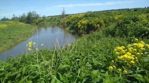 Линия через изгиб реки (блайнд в знакомое место)