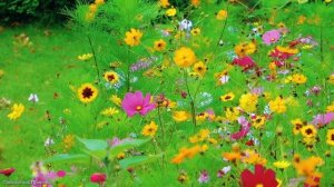 КРАСИВАЯ МУЗЫКА ДЛЯ ДУШИ! Эту музыку можно слушать вечно! Лучшая музыка Сергея Грищука #20