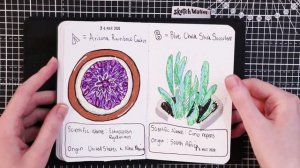 SKETCHBOOK TOUR #9 !! // Sketch Wallet // EmilyArts