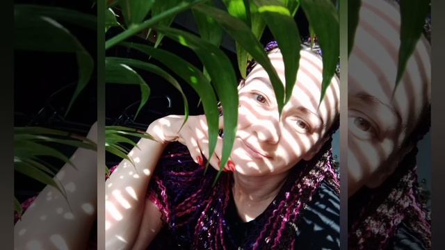 афрокосы, зизи? #shorts модные прически смотреть онлайн