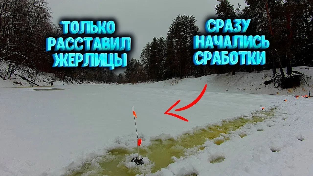✔ ТОЛЬКО РАССТАВИЛ ЖЕРЛИЦЫ сразу начались сработки Проверяю оставленные на ночь жерлицы смотреть онлайн