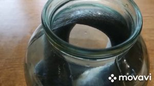 Сельдь слабого посола в домашних условиях. Невероятно нежная и вкусная сельдь.