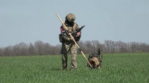 Военная полиция обезвреживает неразорвавшиеся снаряды и мины в Запорожье