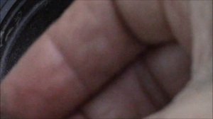 Катарантус комнатный.  Пересадка.  Полезные свойства.