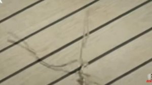 ?ЭДА УПАЛА В МОРЕ ?/ ПОСТУЧИСЬ В МОЮ ДВЕРЬ// ?