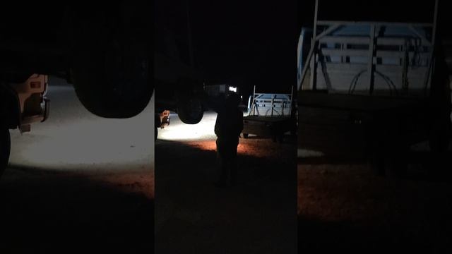 Возвращение коротышки домой