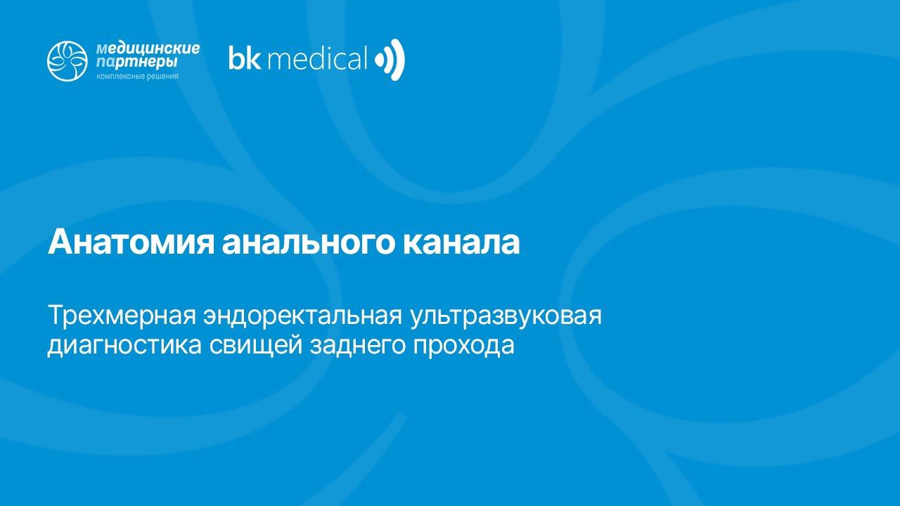 Анатомия анального канала