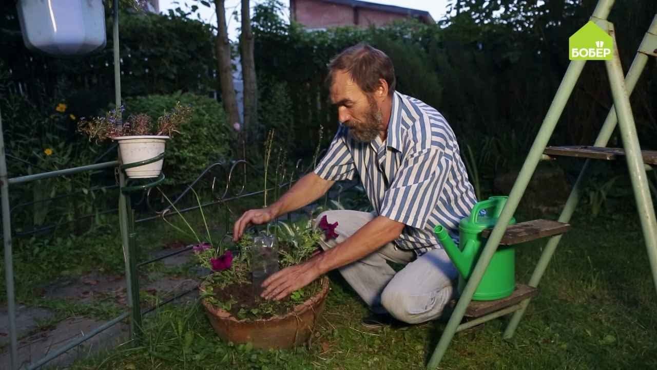 Как сделать своими руками систему автополива растений из пластиковой бутылки / Садовые хитрости