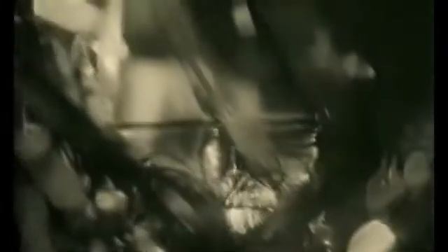 Голос Знакома!! ? ? смотреть онлайн