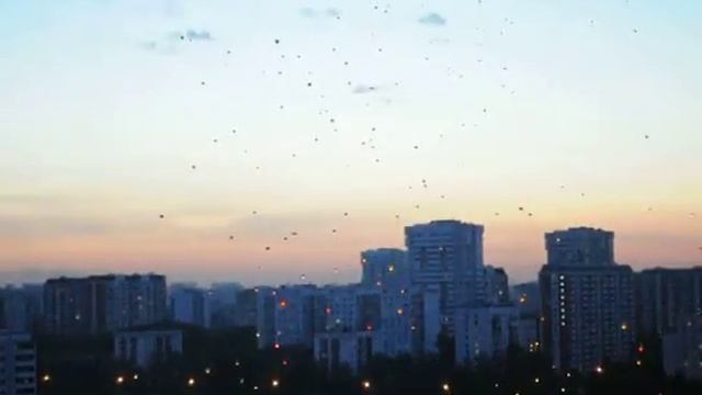 Массовый запуск небесных фонариков в Москве и мире смотреть онлайн