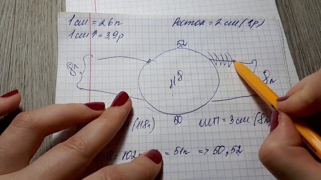 Расчёт V-образного выреза и ростка в реглане-погоне