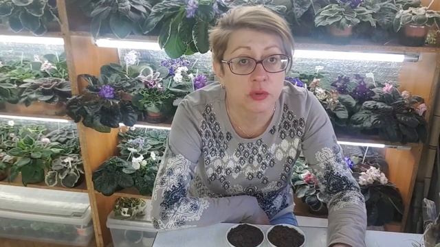 Правильный грунт для фиалок и не только!