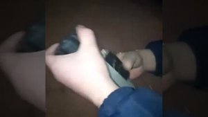 Проверка влажности кукурузы wile 55.