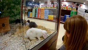 Купили кролика - пушинка EVA!