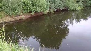 Рыбалка и отдых на даче