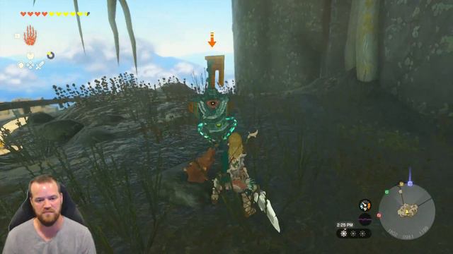 South Eldin Sky Archipelago | Sage's Will | Zelda Tears of the Kingdom смотреть онлайн