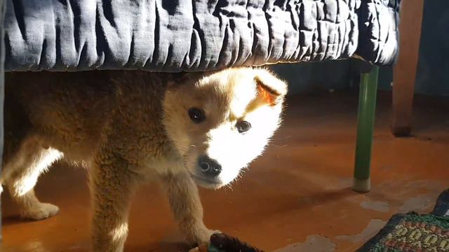 28 февраля 2022 г. смотреть онлайн