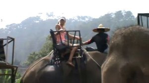 Катаемся на слонах и страусах во Вьетнаме