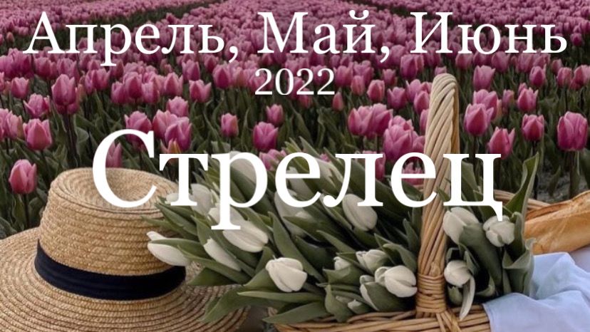 Стрелец Апрель, Май, Июнь 2022