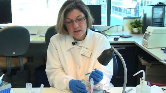 Making a 3-5% RBC Suspension смотреть онлайн