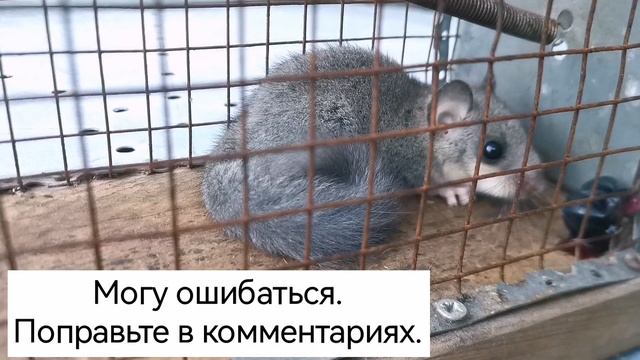 Дача как хобби. Соня... смотреть онлайн