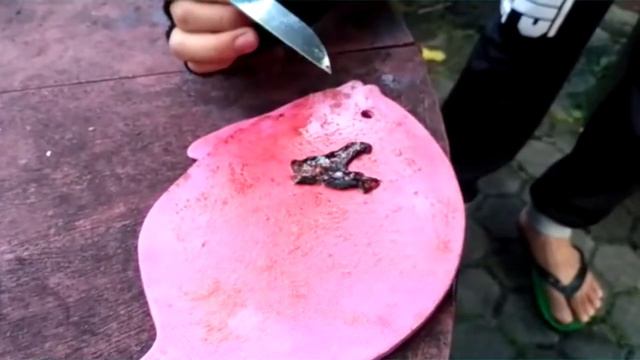 PENGAMATAN ANNELIDA KELOMPOK AMOEBA смотреть онлайн