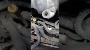 Nissan Qashqai эмульсия, антифриз смещался с маслом, что необходимо сделать.