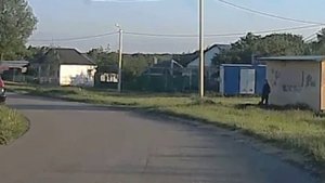 Дома в Гремячьем.