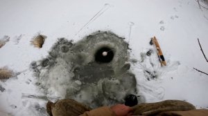рыбалка на хапугу